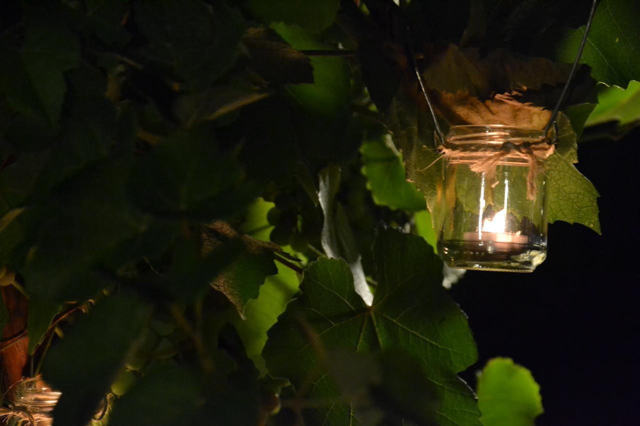 Agriturismo Corte In Poggio Stabbia Kültér fotó